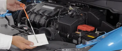 Free Multi Point Inspection
