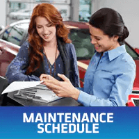 Maintenance Schedule