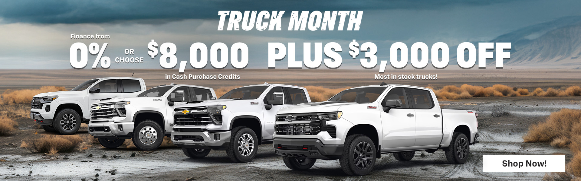 Truck Month 1920x600