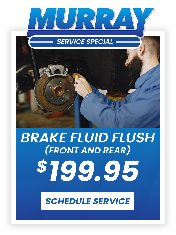 Brake Fluid Flush (Front and Rear)