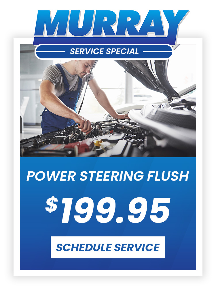 Power Steering Flush