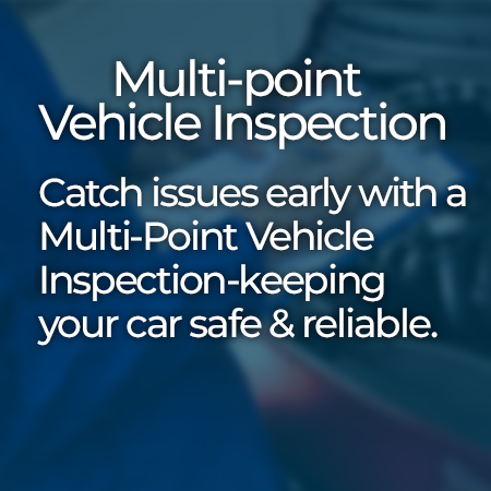 Multi- point vehicle inspection
