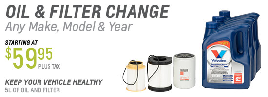 Oil & Filter Change