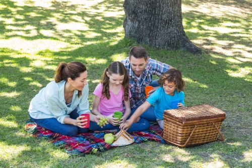 family having a picnic in the park under a tree