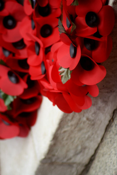 a cluster of artificial poppies for Remembrance Day