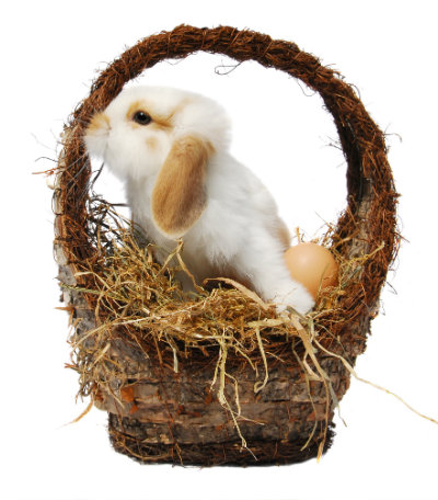 Cute white and brown rabbit in a wicker basket