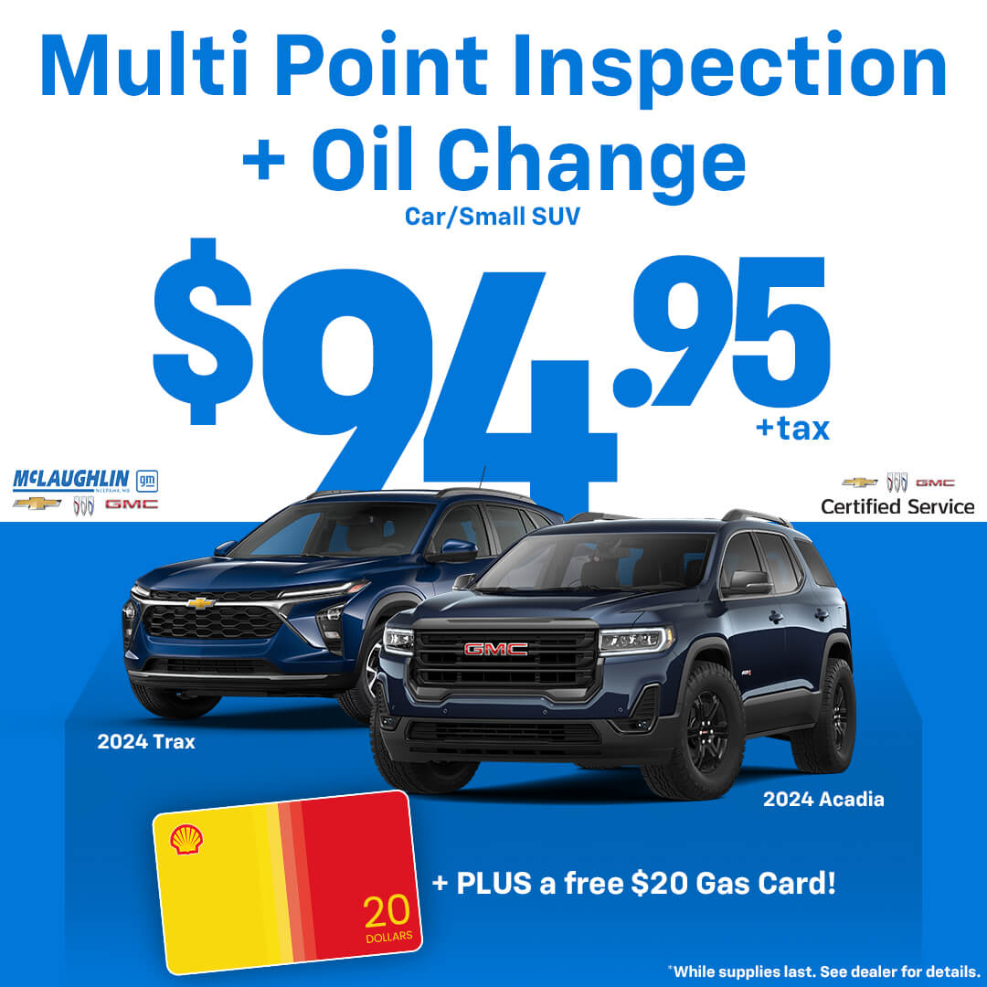 Multi Point Inspection + Oil Change