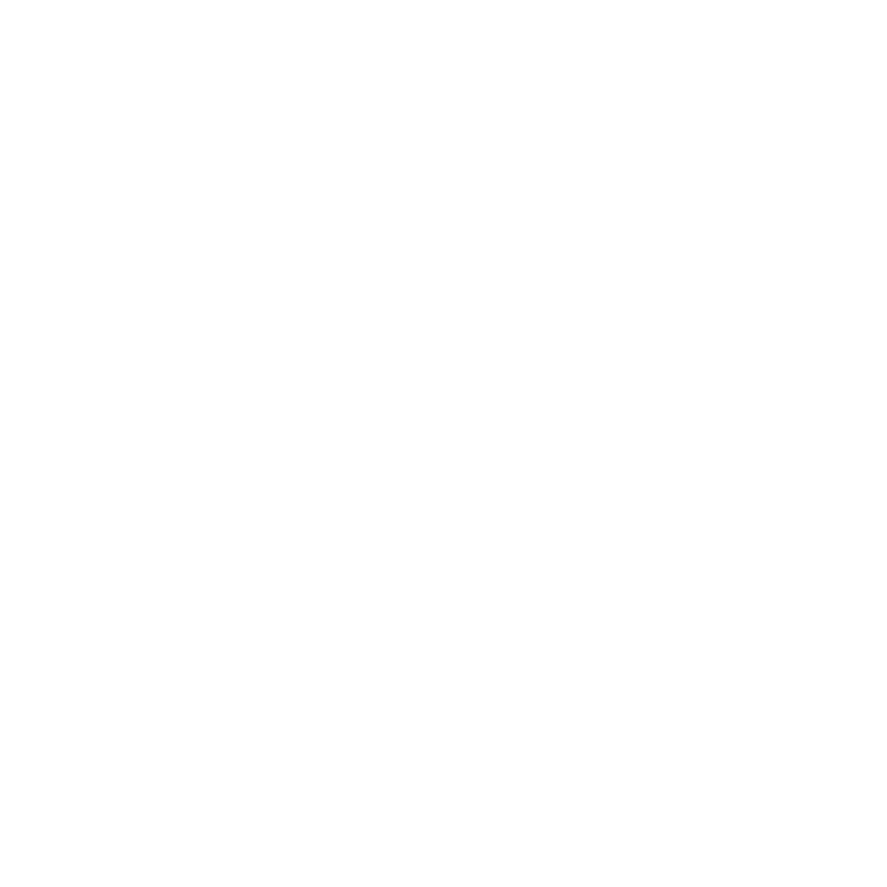 Inventory Icon
