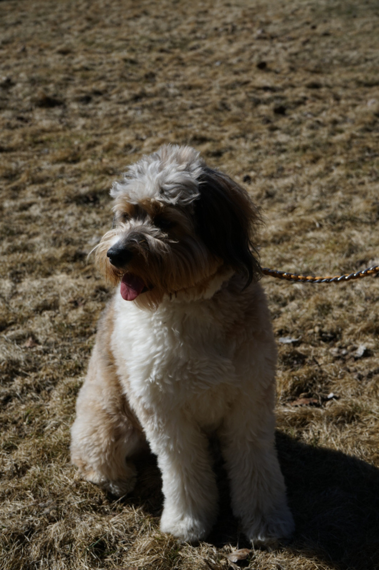 Charlie