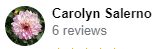 , Google Review Review