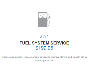 Fuel System Service