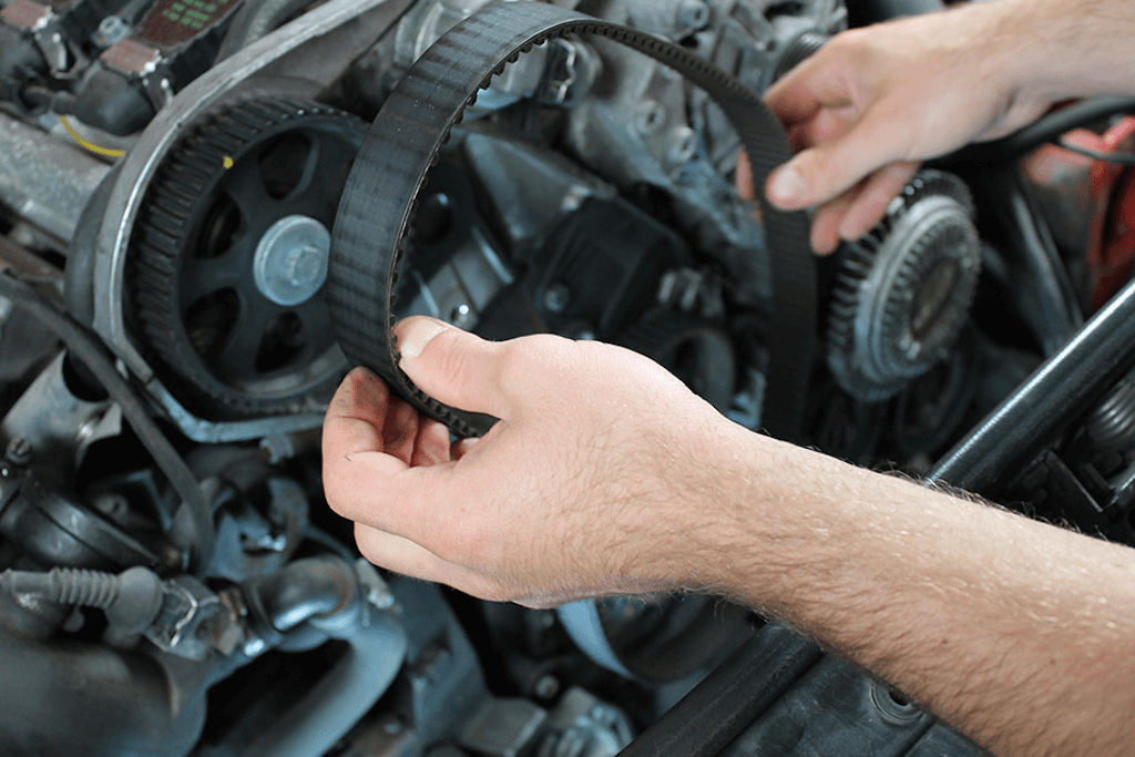 Timing Belt