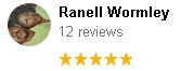 , Google Review Review