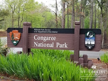 Congaree National Park in Colombia, SC