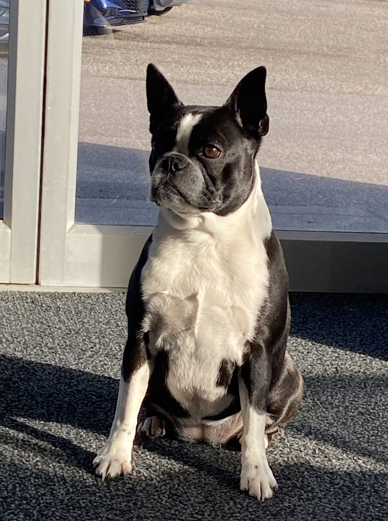 Mia