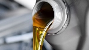 Honda Oil Change Special