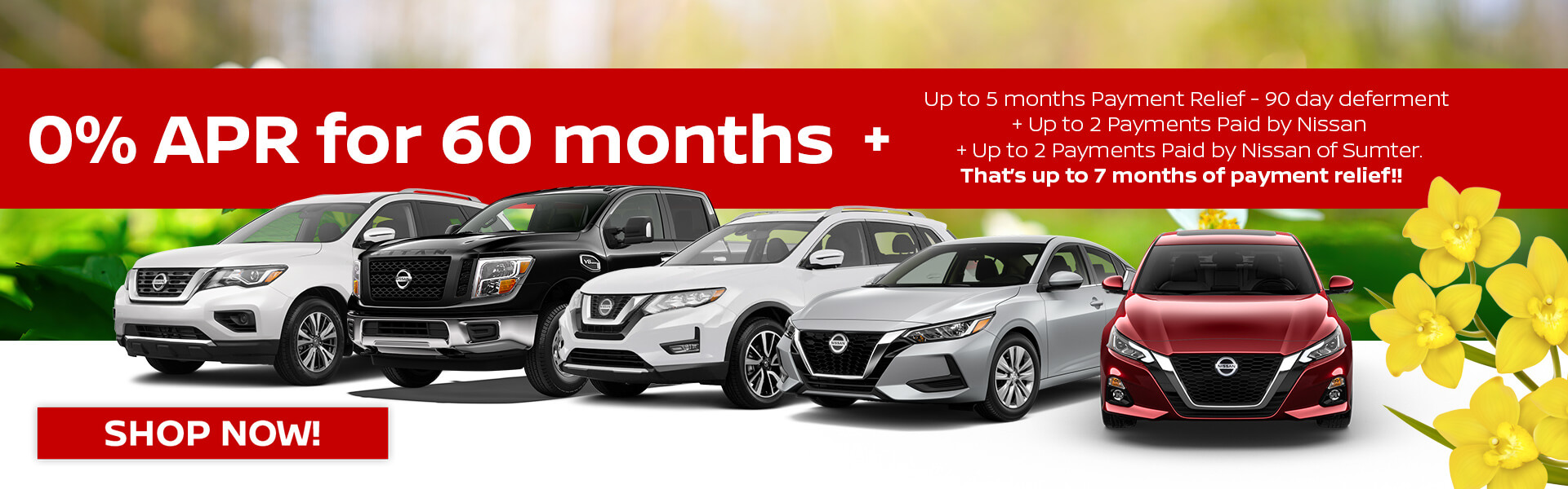 New & used Nissan dealer Serving South Sumter, Camden &