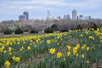 Dorothea Dix Park