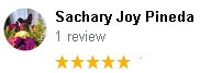 , Google Review Review