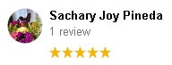 , Google Review Review