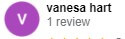 , Google Review Review