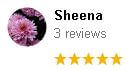 , Google Review Review