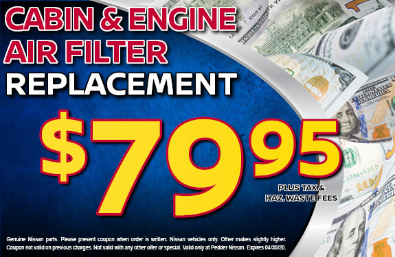 Cabin & Engine Air Filter Replacement