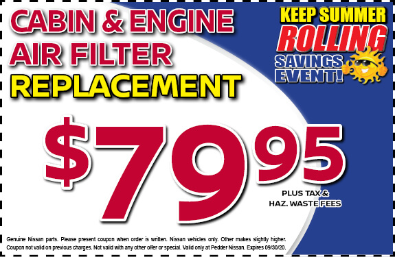 Cabin & Engine Air Filter Replacement