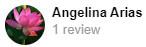 , Google Review Review