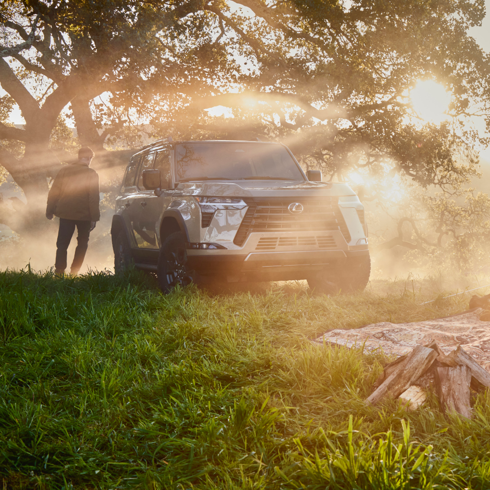 lexus vs infiniti