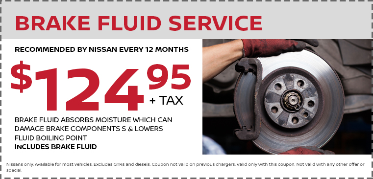 BRAKE FLUID SERVICE