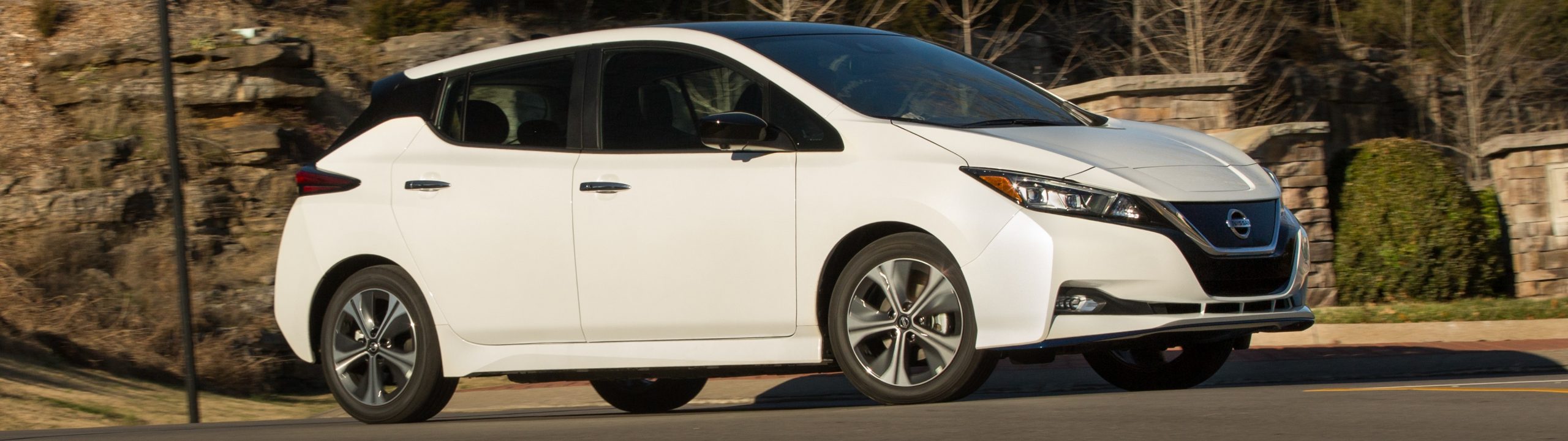 Nissan LEAF brownsville