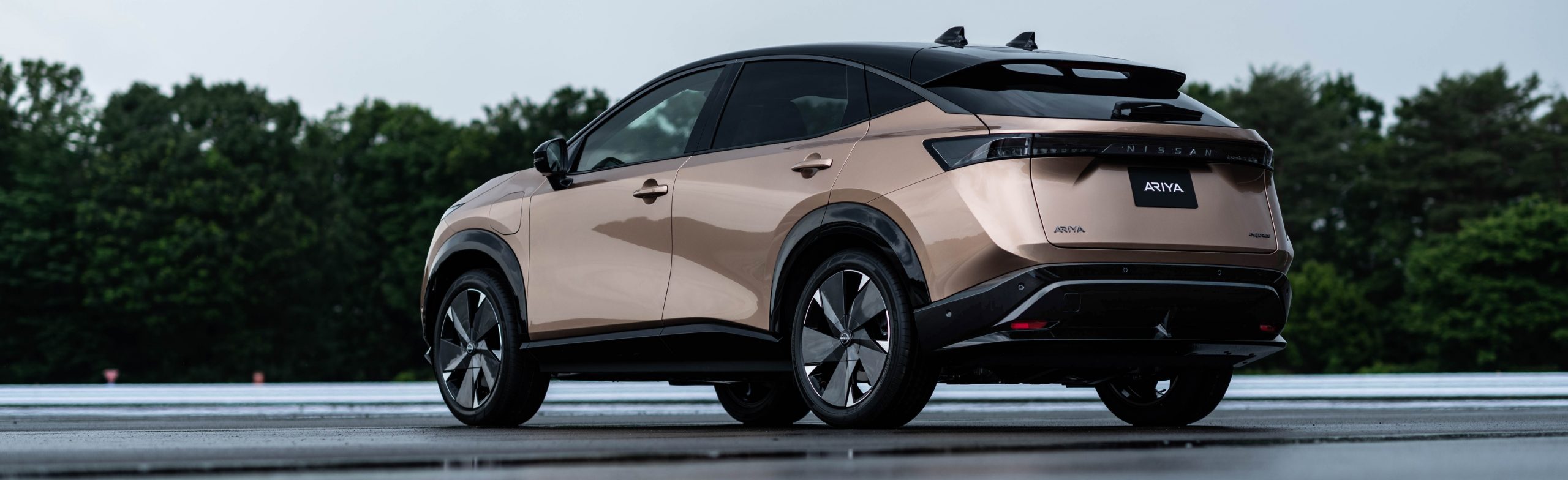 Nissan ariya brownsville