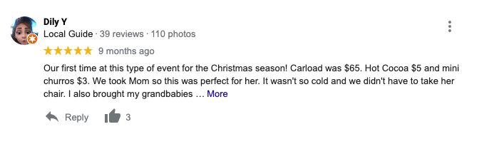 Santa's Speedway Review