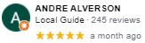 , Google Review Review