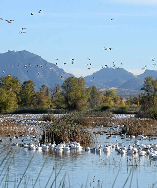  Yuba-Sutter Backroads — The Local Favorite 