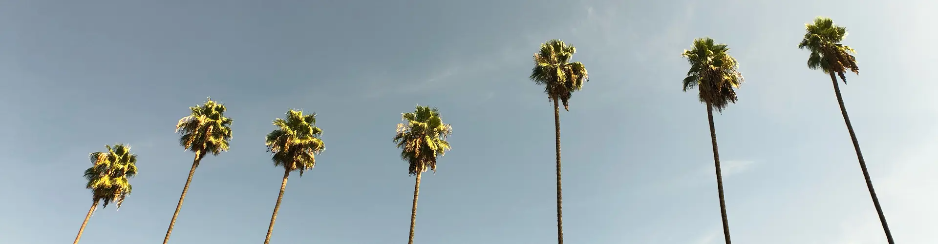 New & Used Acura Dealer Serving Claremont, Rancho Cucamonga & Upland