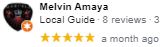 , Google Review Review