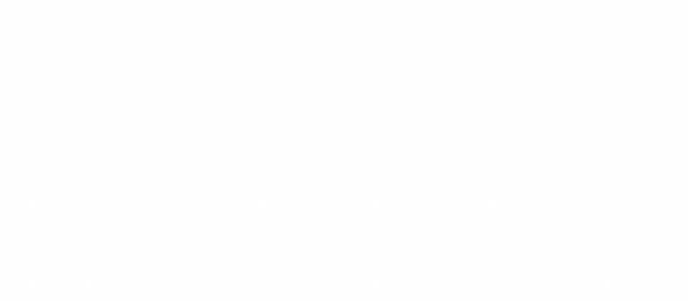 Bush Auto Group