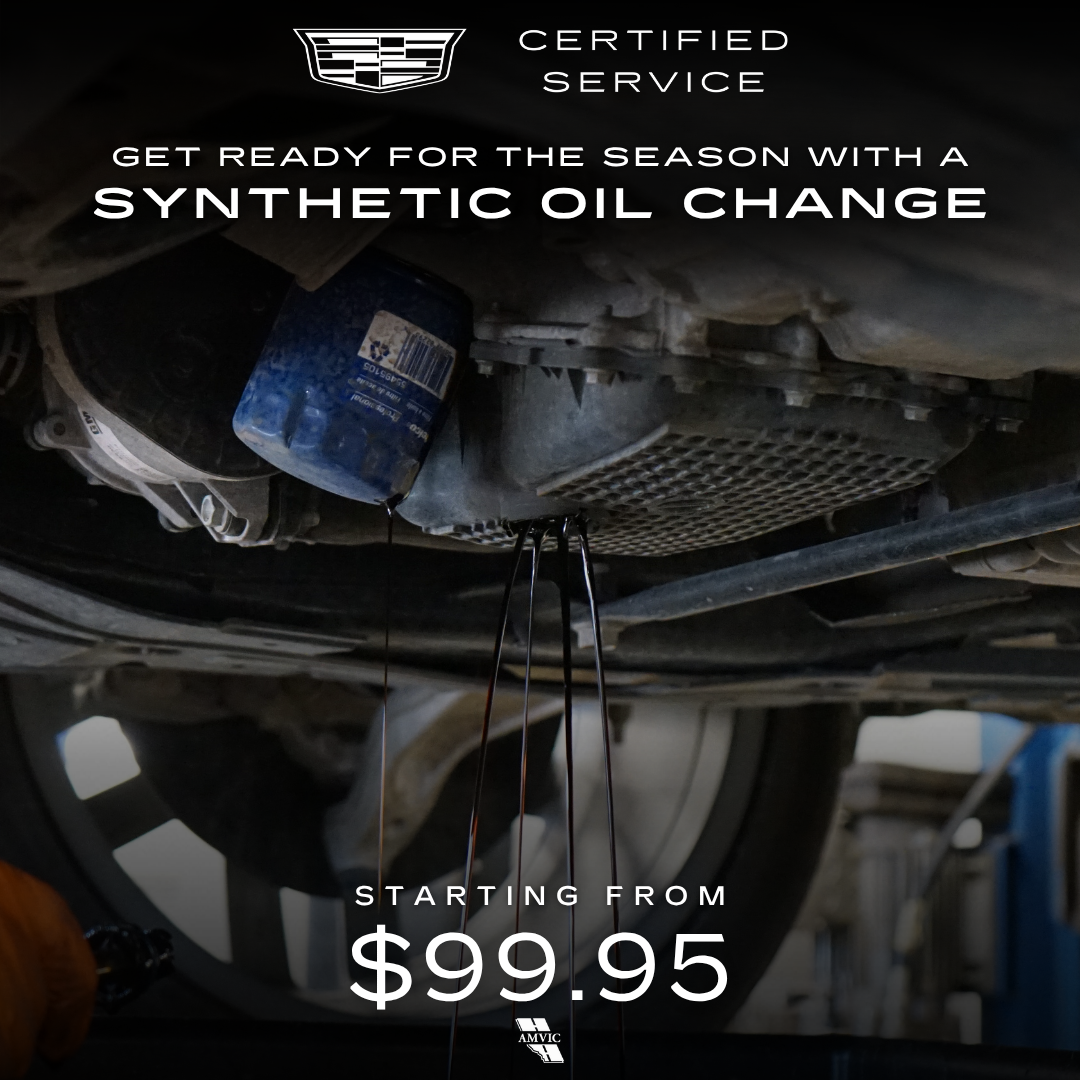 SYNTHETIC OIL CHANGE