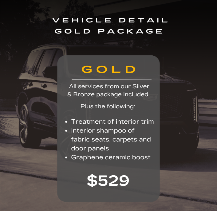 GOLD DETAIL PACKAGE