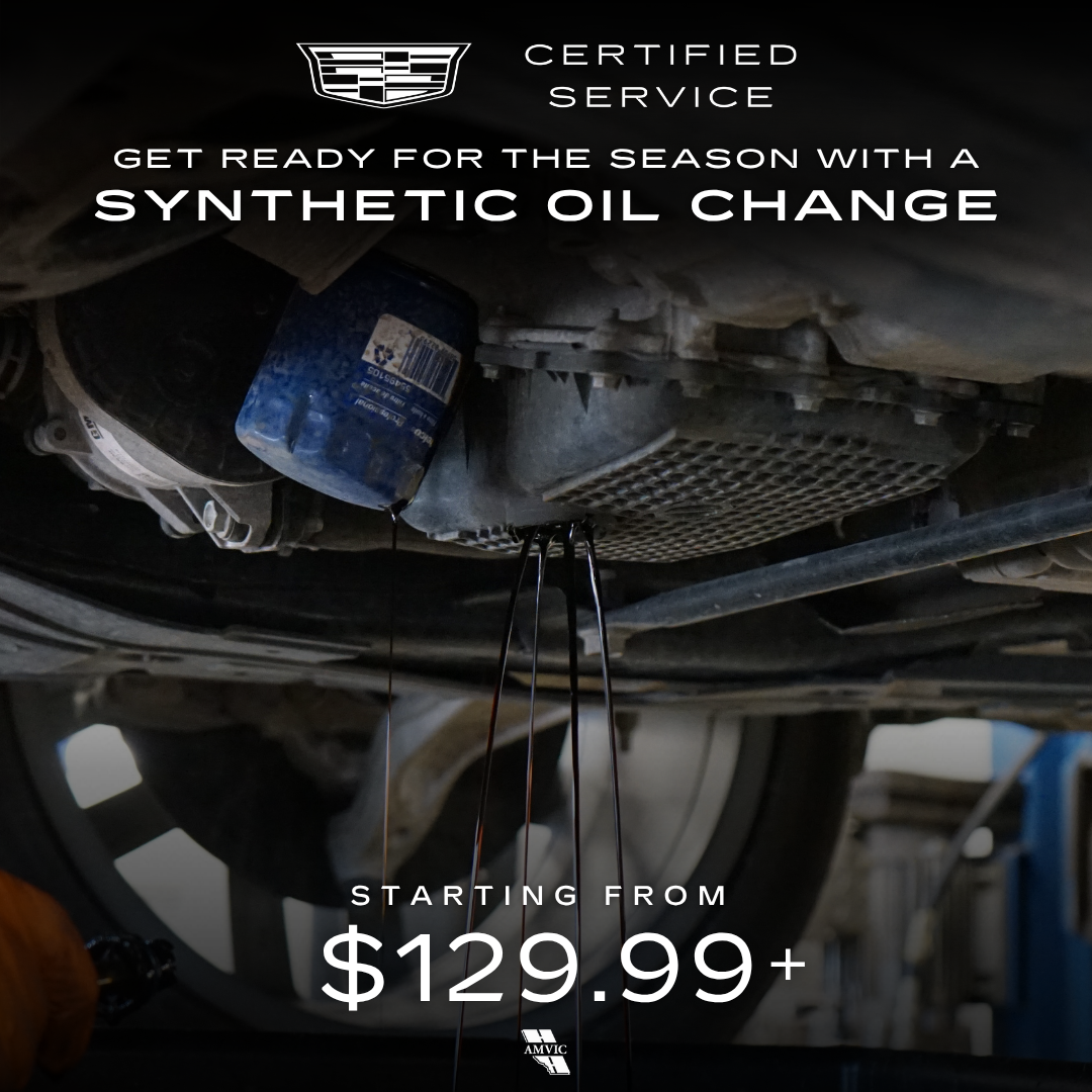 SYNTHETIC OIL CHANGE