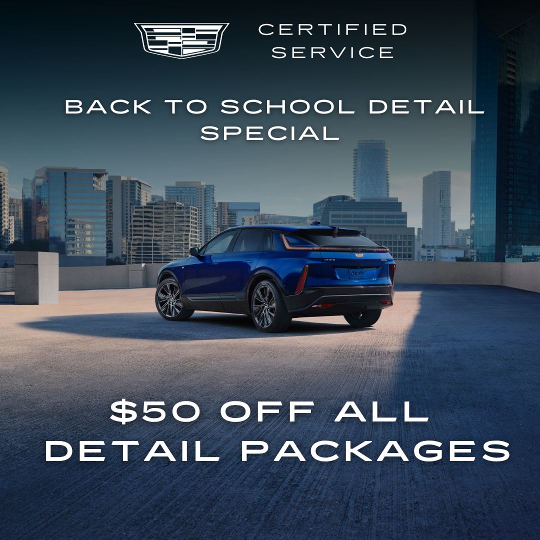 Back to School Detail Special