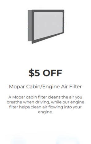 Cabin/Engine Air Filter