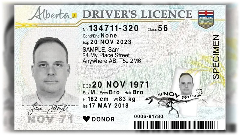 alberta-driver-s-licenses-obtain-copies-or-drivers-licenses-from-us