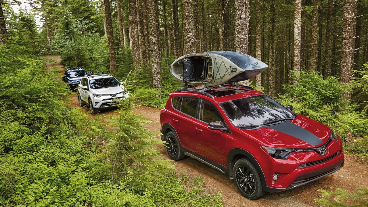 2018 Toyota RAV4s