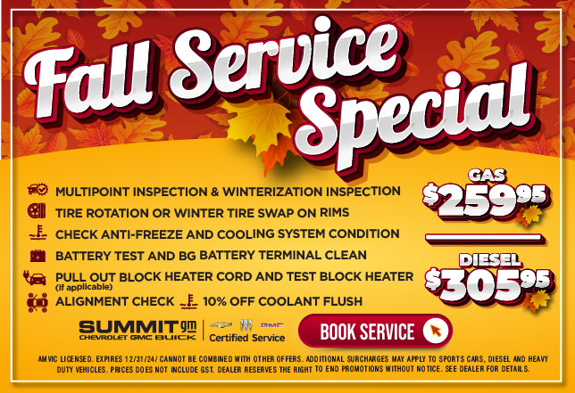 Fall Service Special