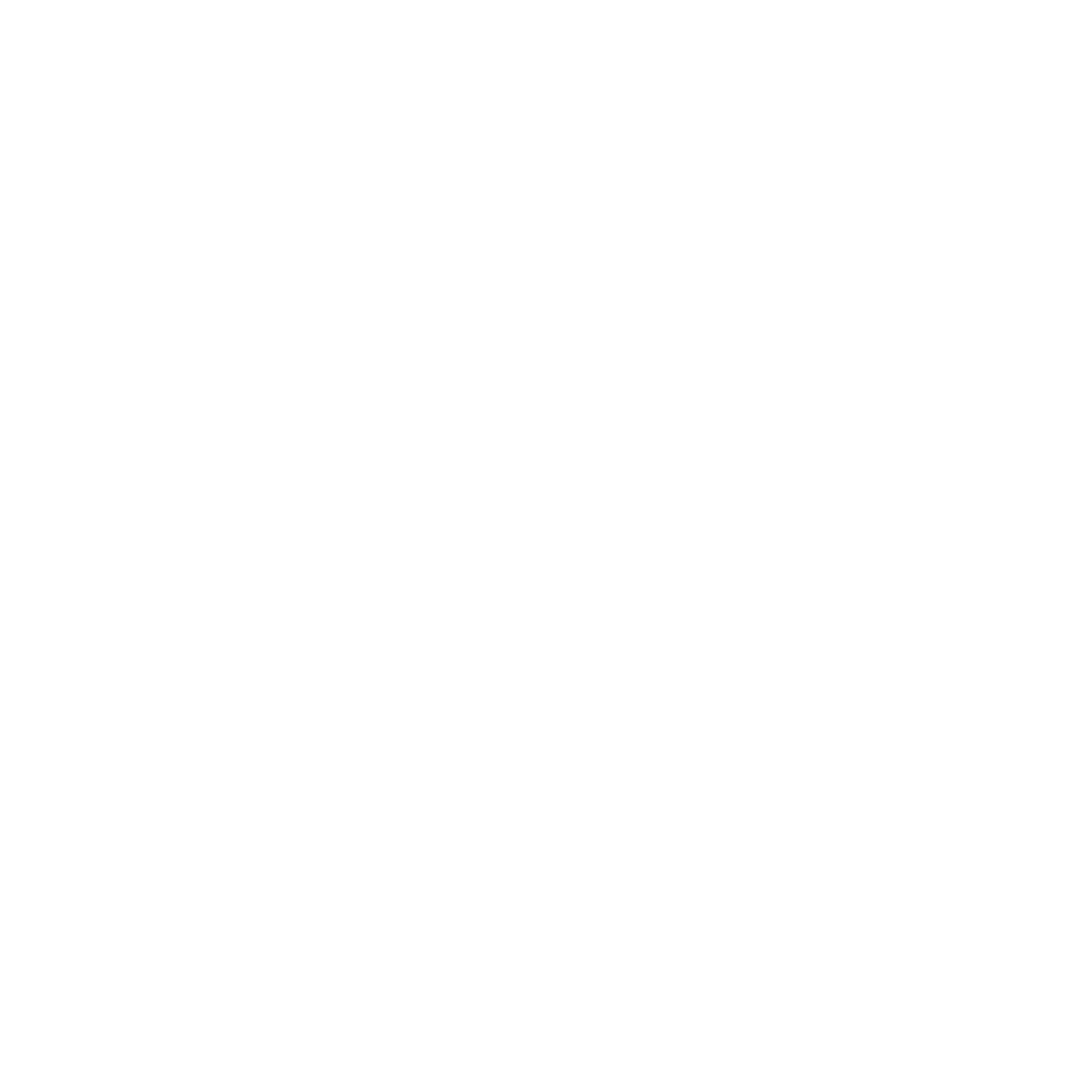 New Car Icon