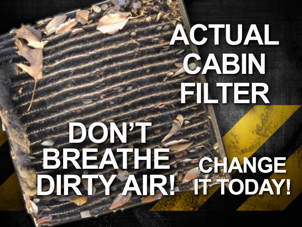 A/C Cabin Filter Special