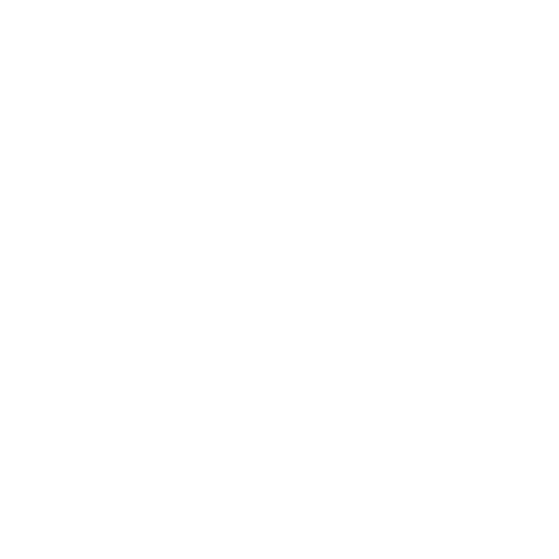 Google Translate Icon